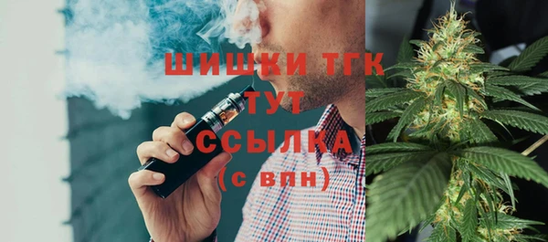 экстази Бородино